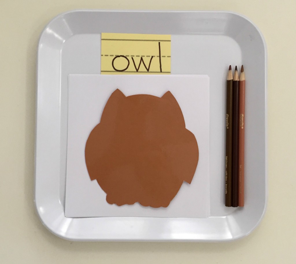 Owl Tracing - Owl Projects for the Preschool Classroom 