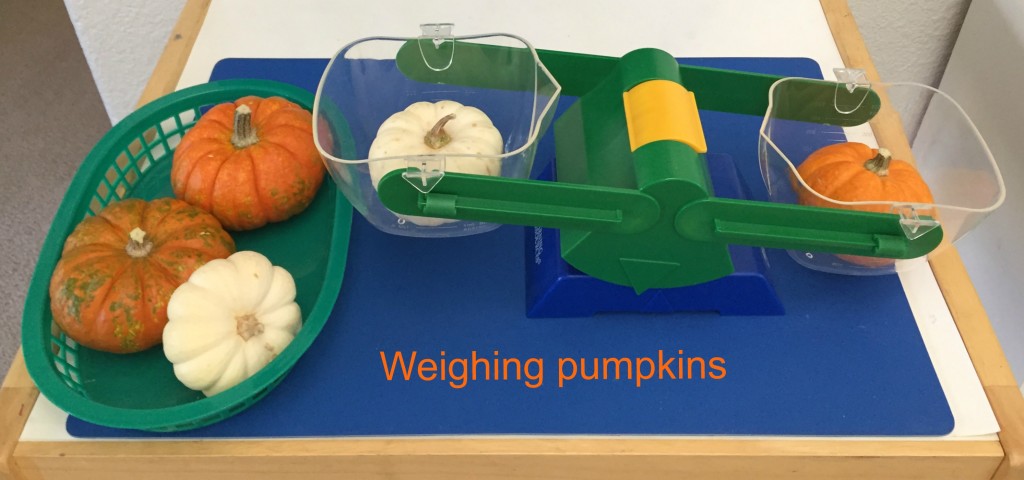 Pumpkin Investigations 