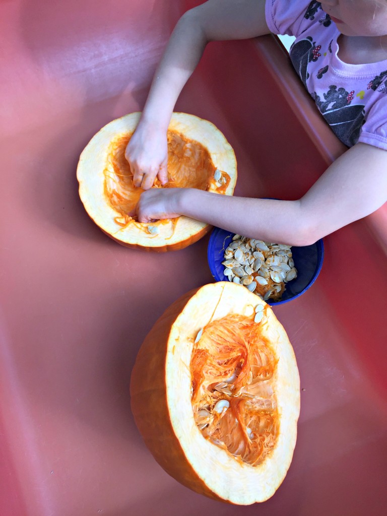 Pumpkin Investigations