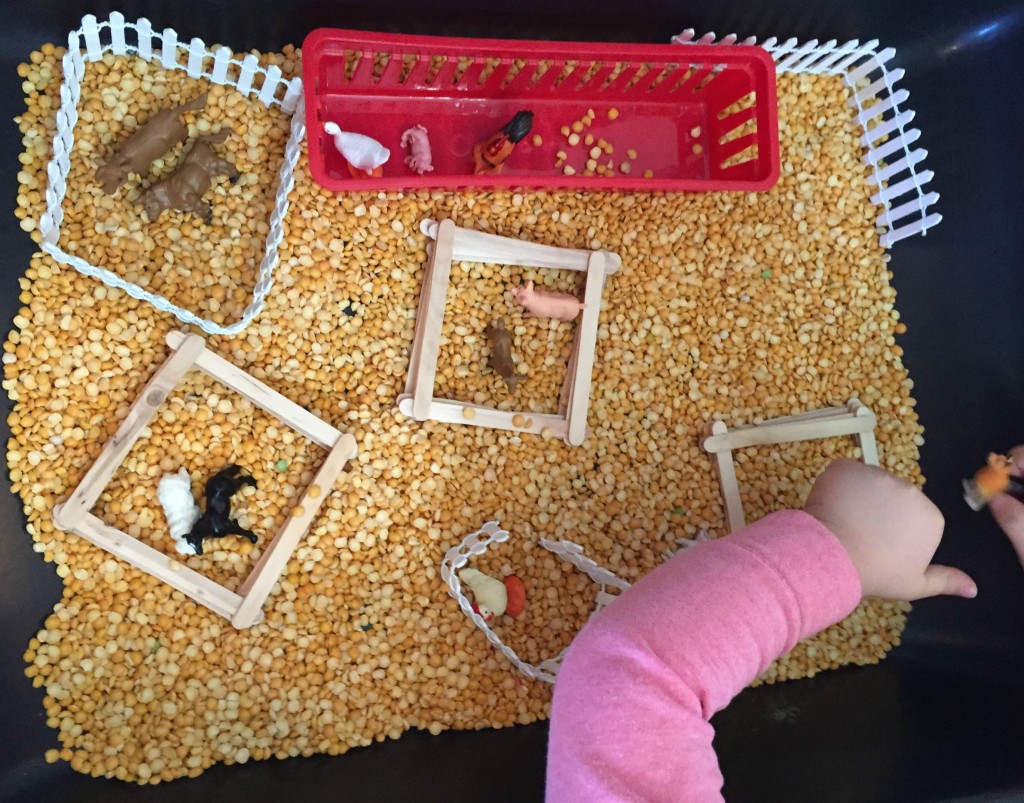 Farm Animal Activities in the Preschool Classroom - Farm Sensory Bin