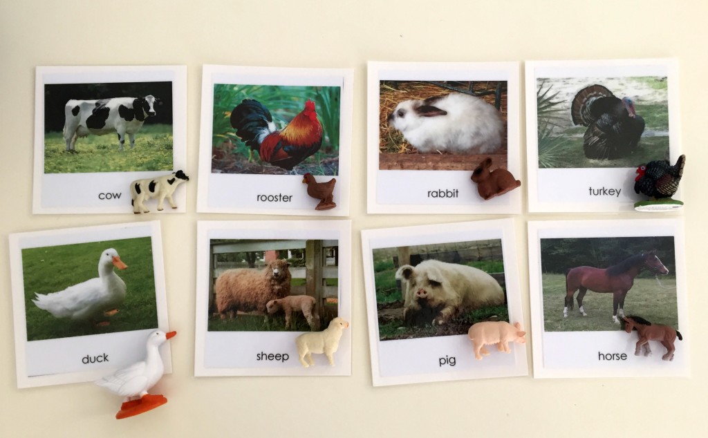 Farm Animal Activities in the Preschool Classroom - Matching Farm Animals