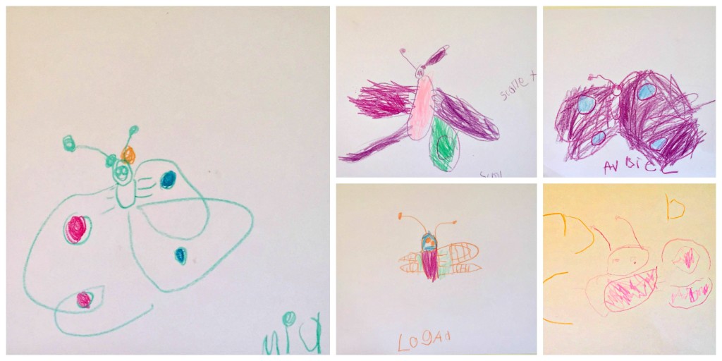 Drawing in the Preschool Classroom - Butterflies
