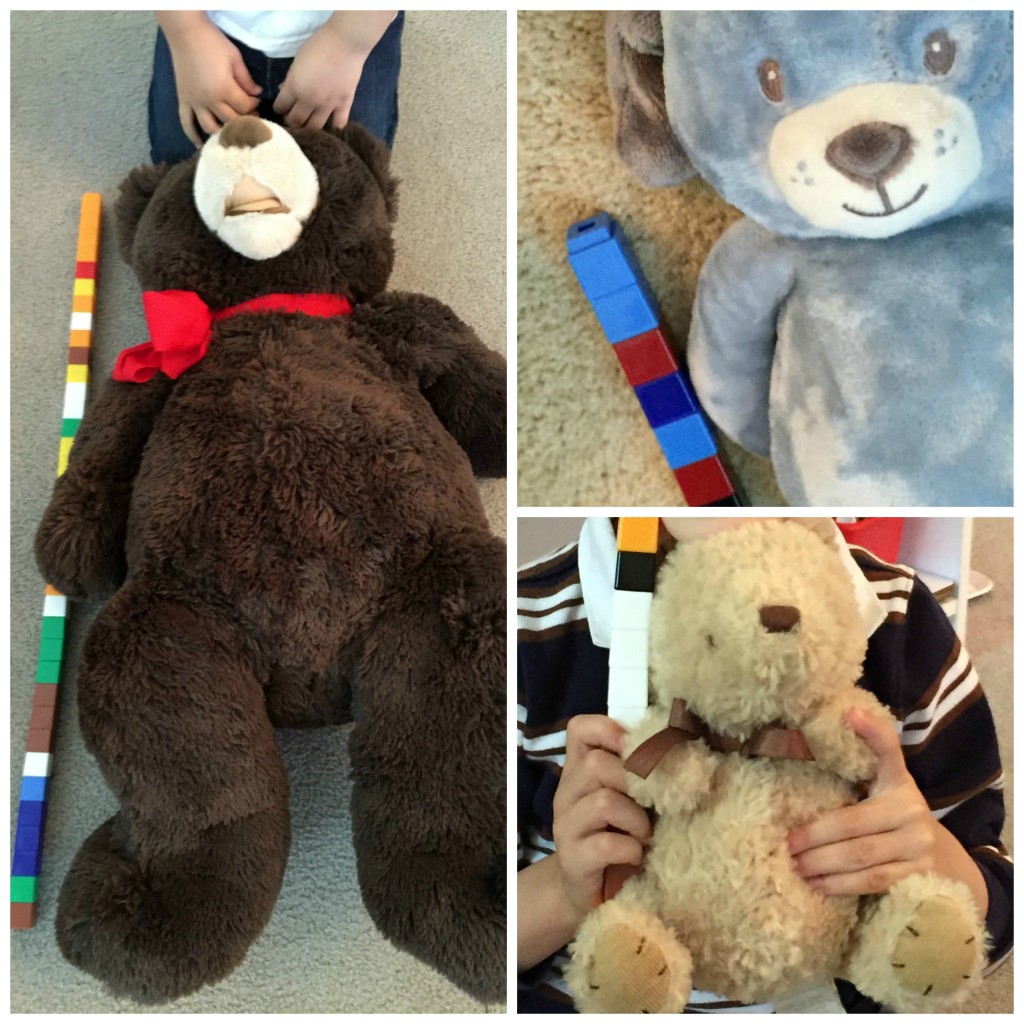 Teddy Bear Day activities for Preschoolers - Measuring Teddy Bears