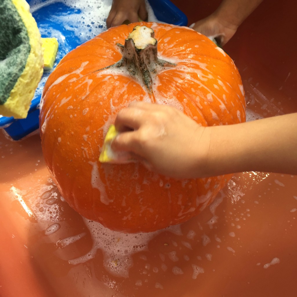 Washing the pumpkin - great fall practical life activity! 