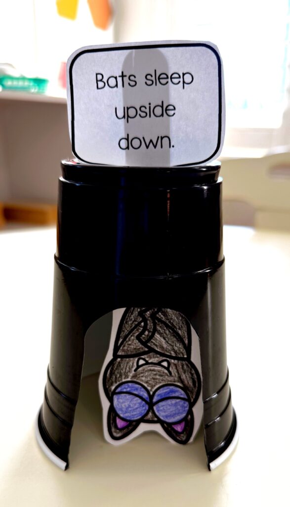 Bat Craft - Bat sleeping upside down in a cup 