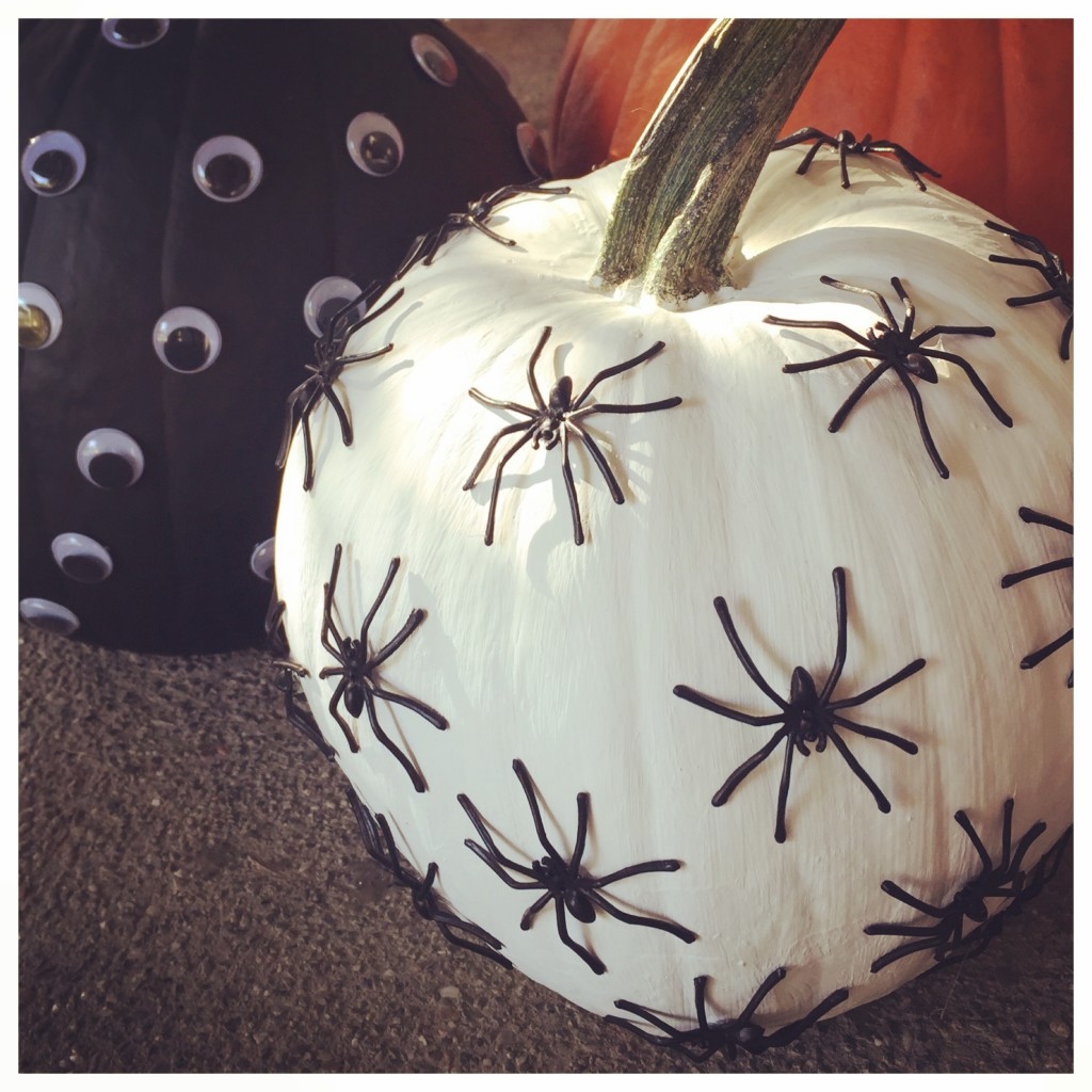 Pumpkin decorated with spiders for preschool spider week. 