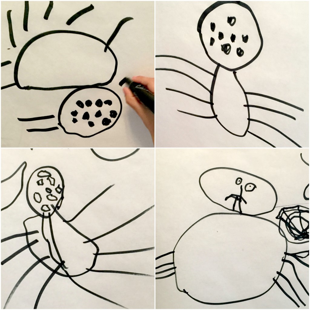 Directed drawings spider preschool activity 