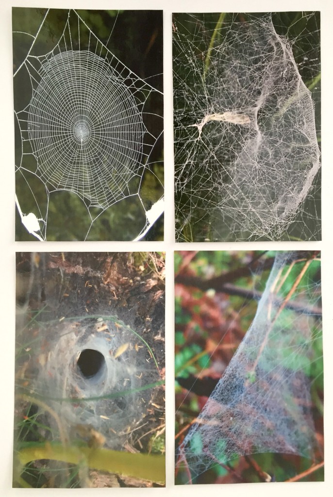 Spider webs preschool 
