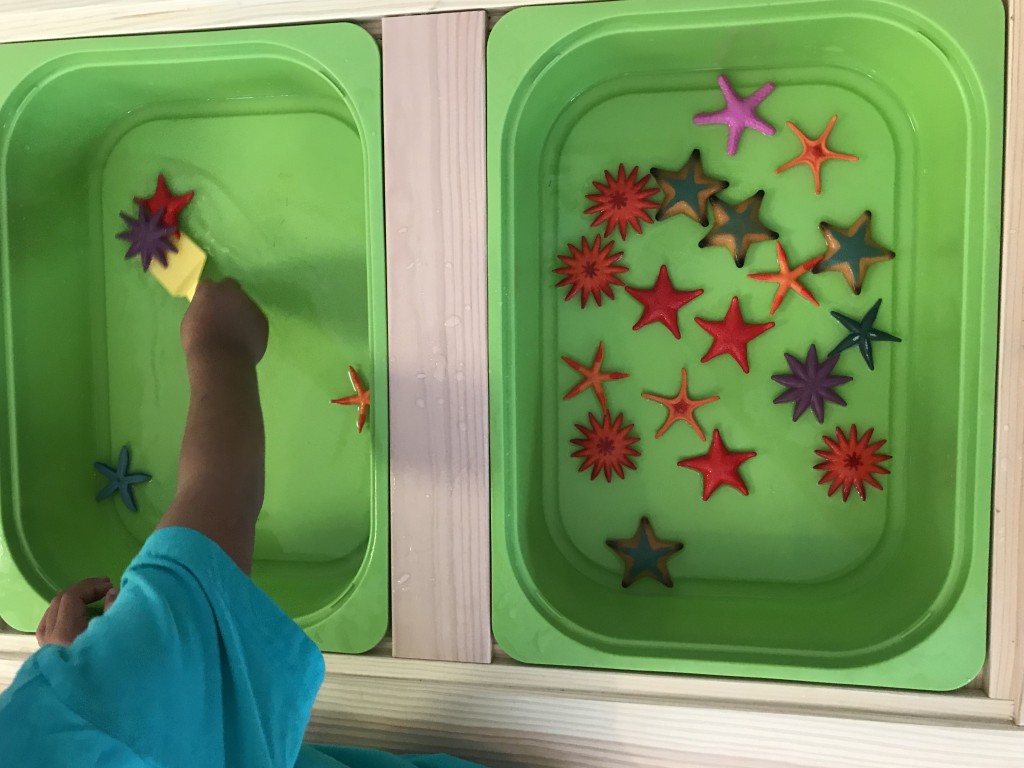 Preschool Sea Animals Activities - Starfish Transferring 