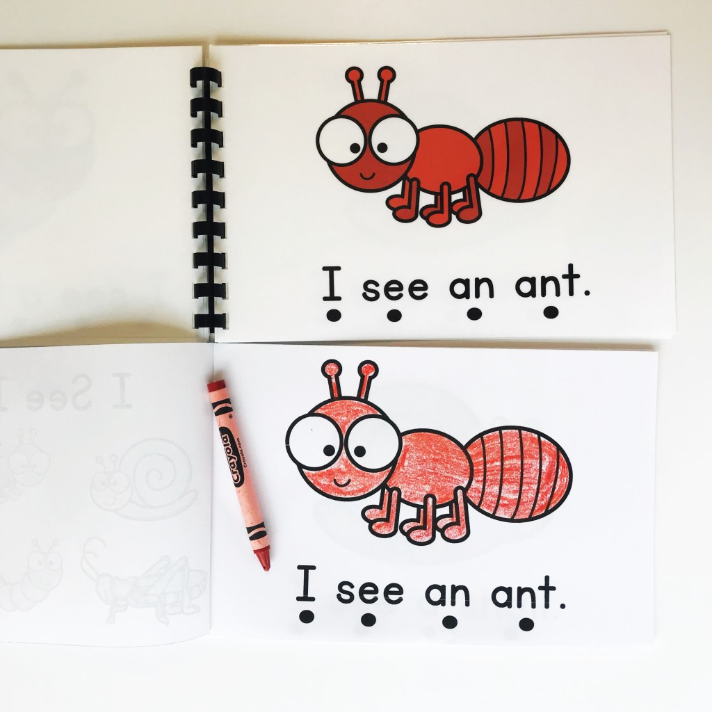 Insect Activities for the Preschool Classroom 