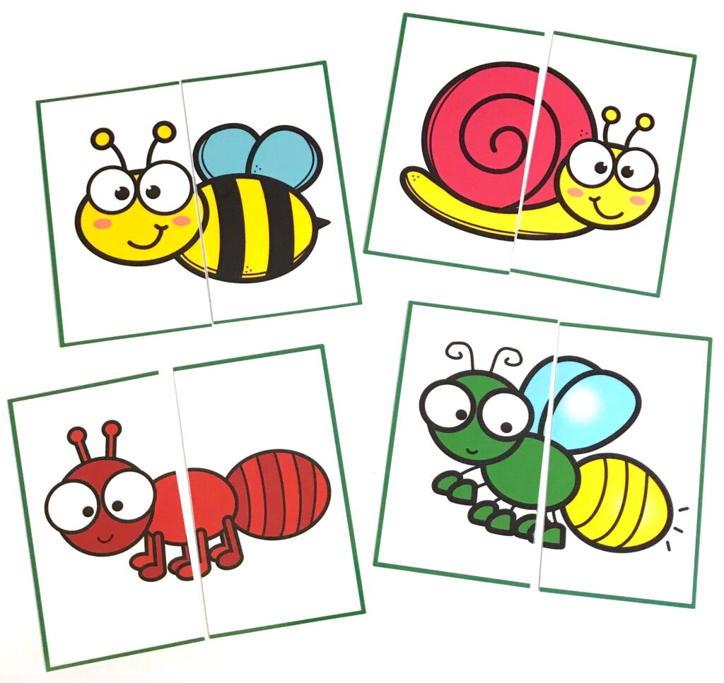 Insect Matching Activity