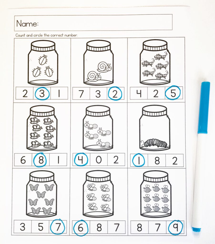 Insect Math Worksheet