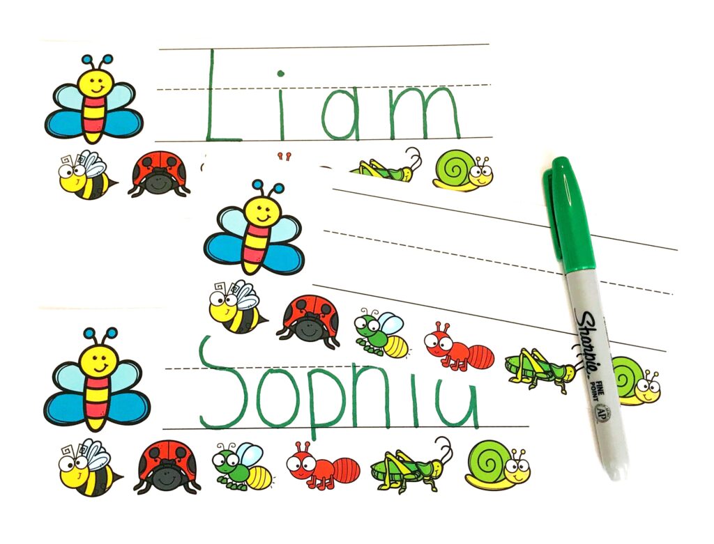 Insect Name Tags