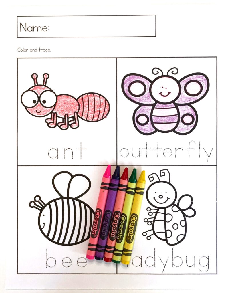 Insect Tracing and Coloring Printable