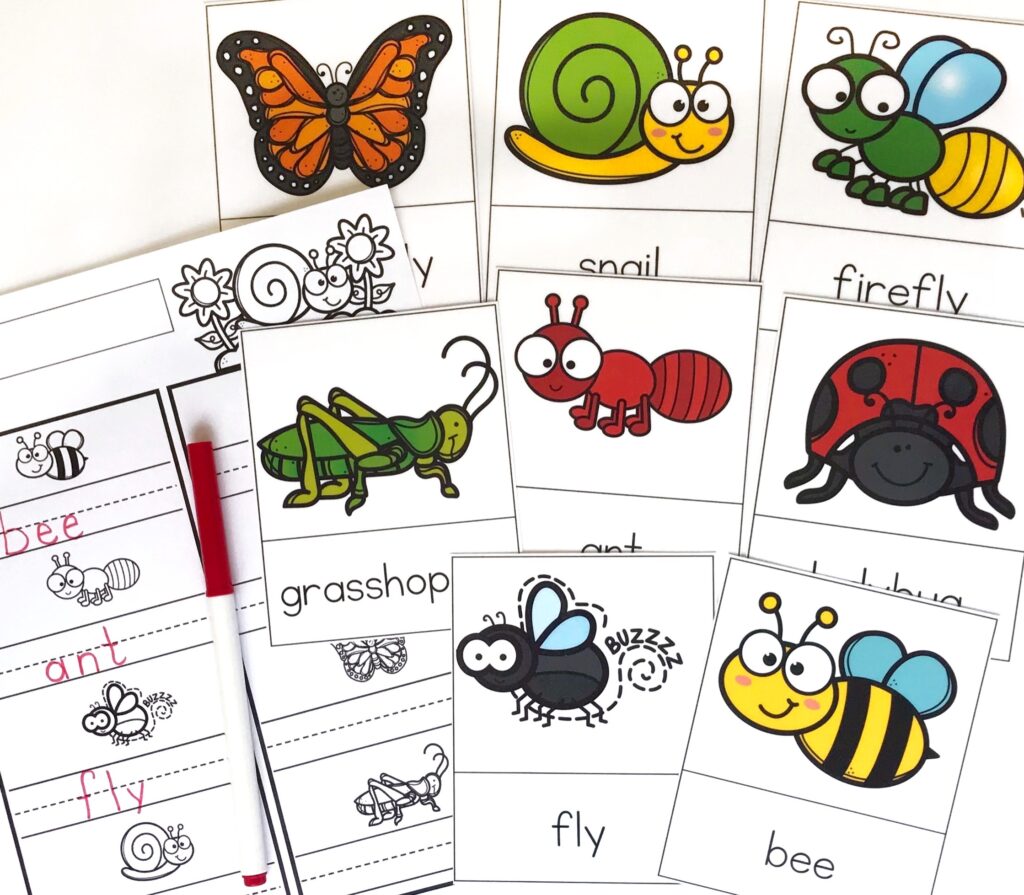 Insect Writing Activity