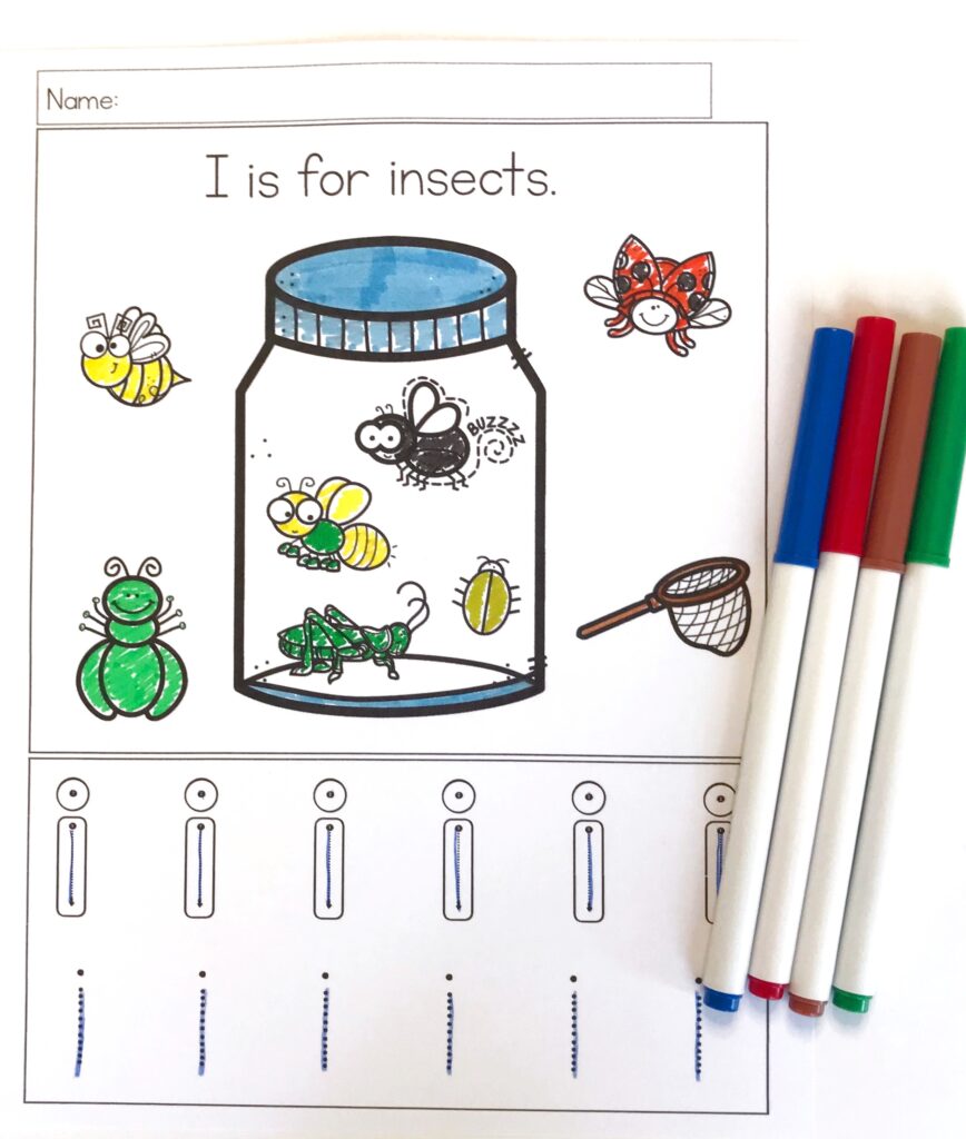 Insect coloring and tracing page