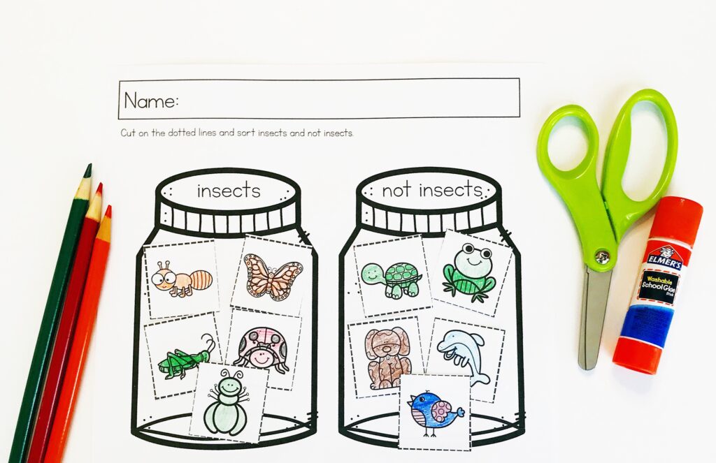 Insect gluing and sorting activity