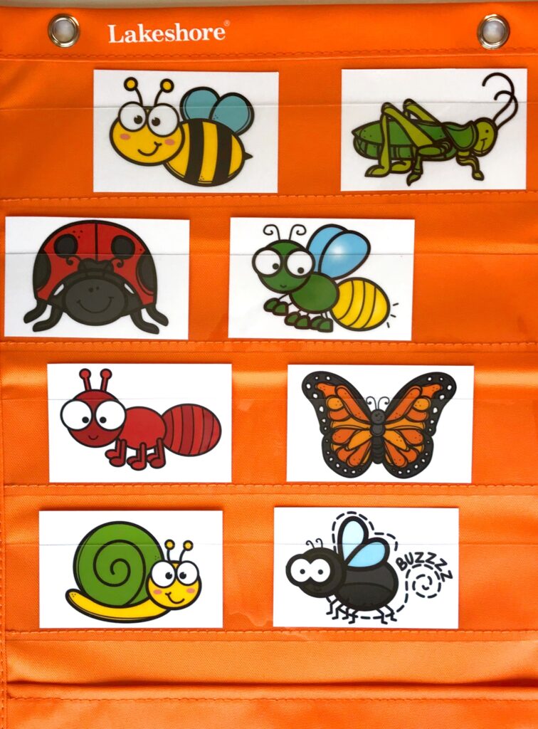 Insect pocket chart activity