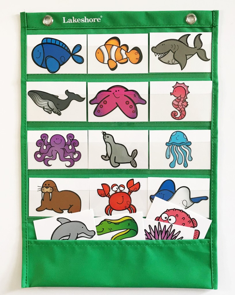 Ocean Animal Vocabulary Cards 