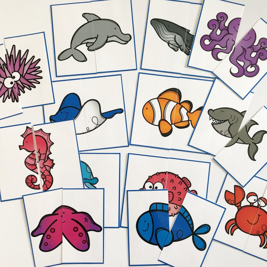Ocean Animal Matching Cards 