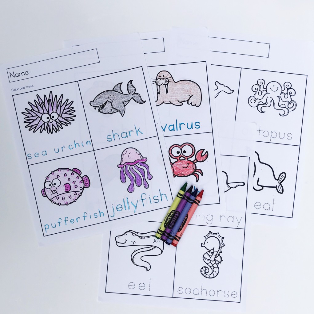 Ocean Animal Vocabulary Tracing and Coloring 