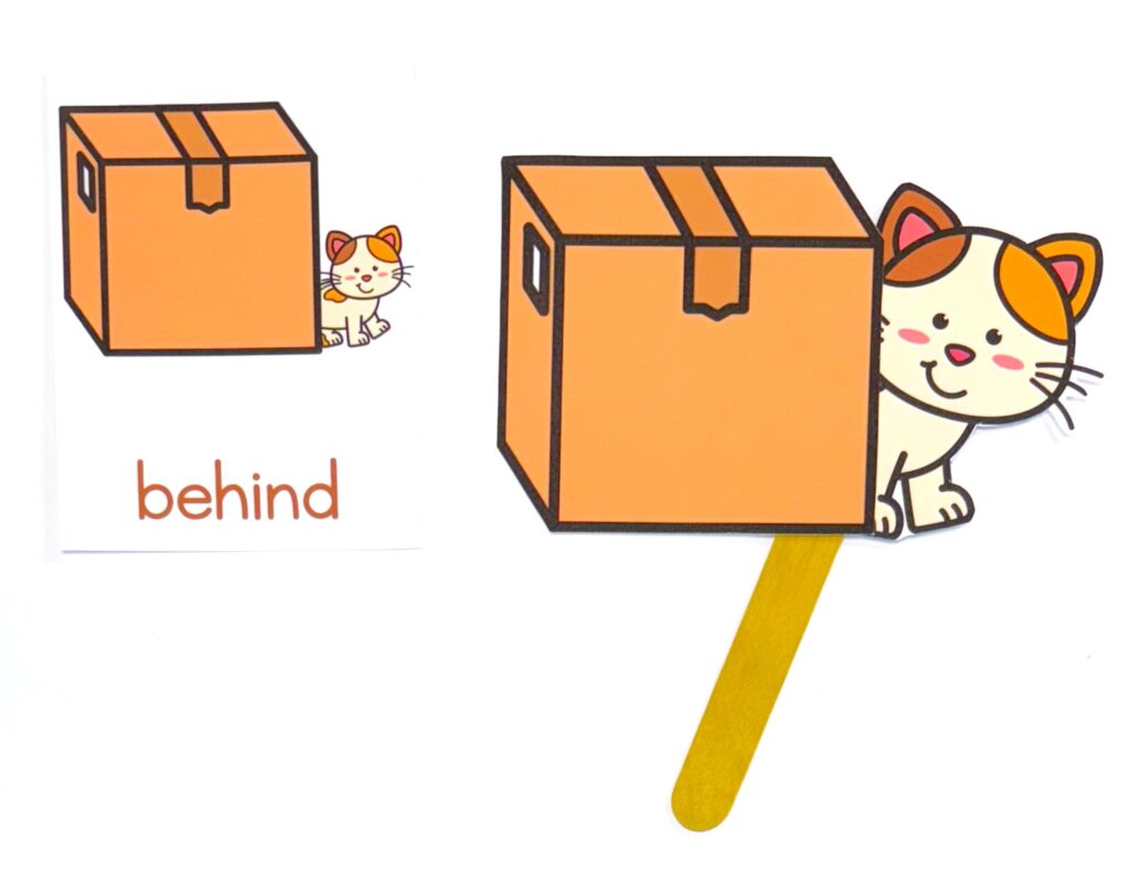 Cat and the box preposition activity