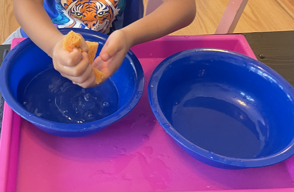 Sponge Squeezing Fine Motor Activity