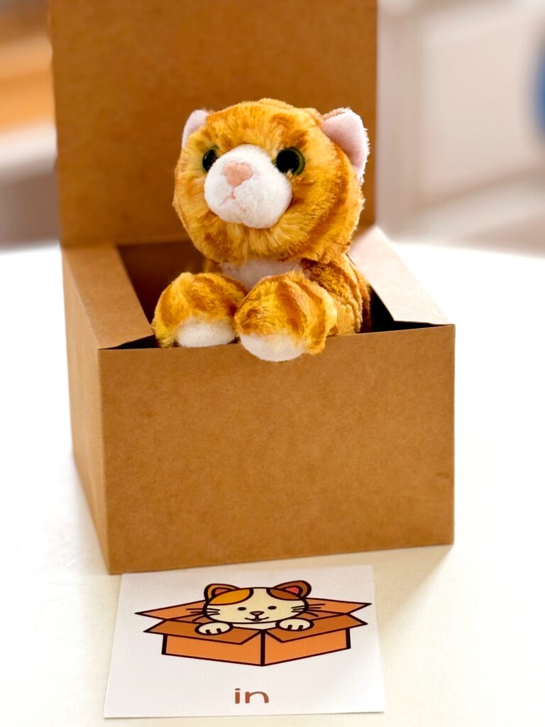 The Cat and Box Prepositional Preschool Activity