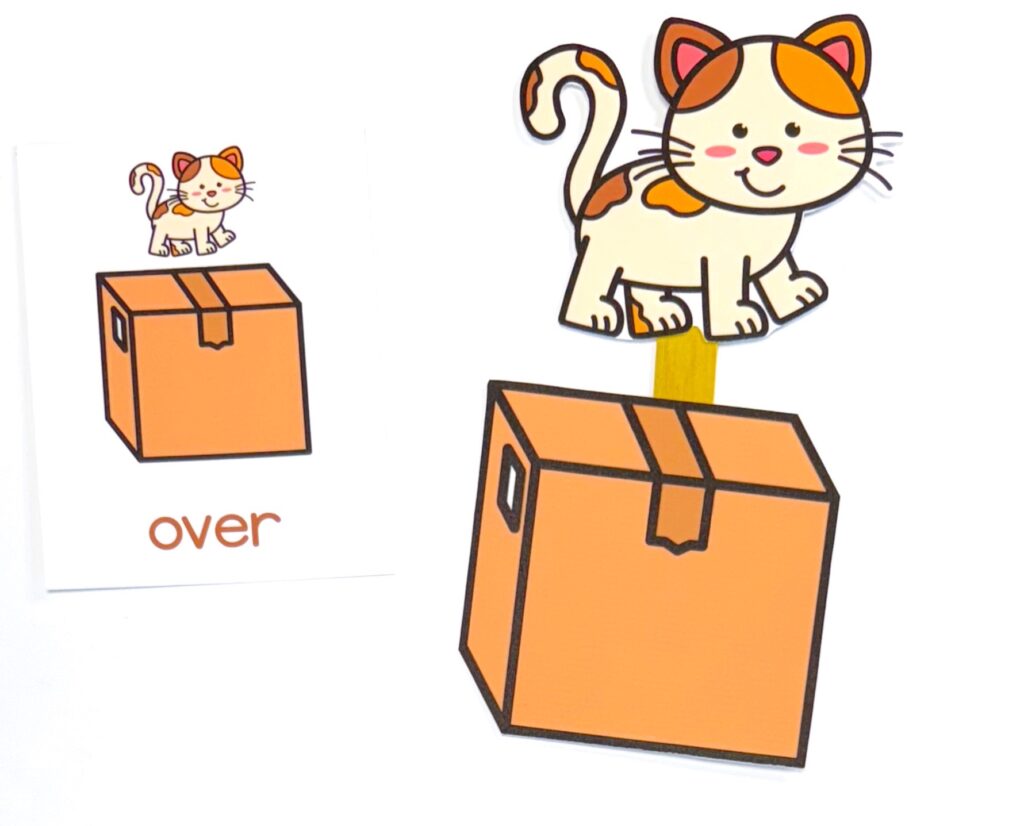 The Cat and the Box Prepositional Hands On Activity