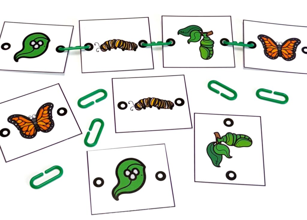 Butterfly life cycle link cards