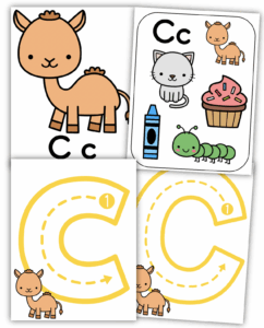 Letter C Classroom Decor